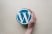 10 Best and Essential WordPress Plugins for Small Business Websites